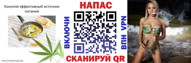 купить наркоту  darknet клад  Canna-Cookies конопля  Белокуриха 