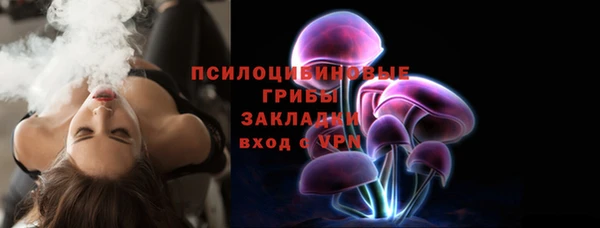 ешки Аркадак