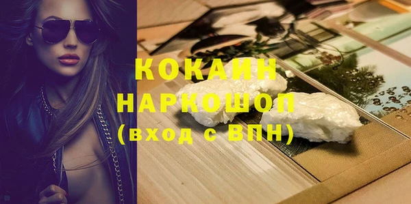 ешки Аркадак