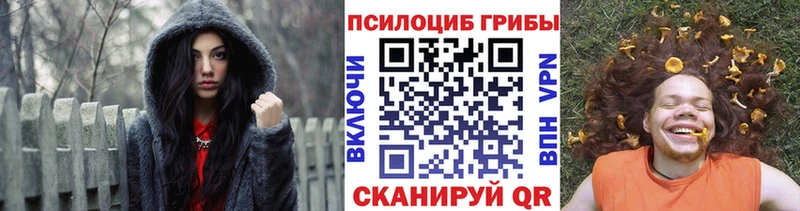 цена   Белокуриха  Галлюциногенные грибы Cubensis 